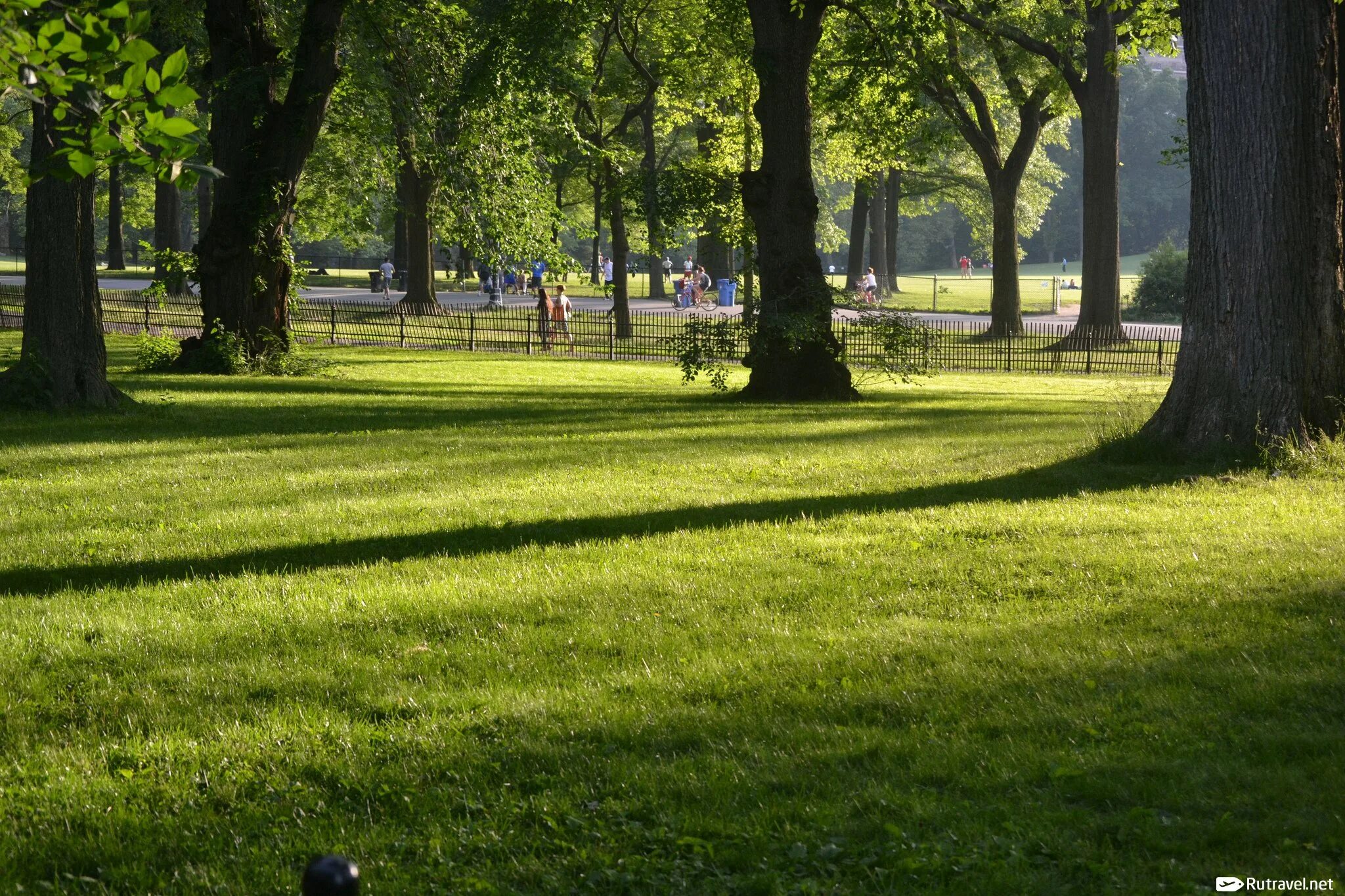 Калининград парк аттракционов. Режим работы парка аттракционов. Парк юность калининград. Парк в нью-йорке. Вход в цпкио стоимость.