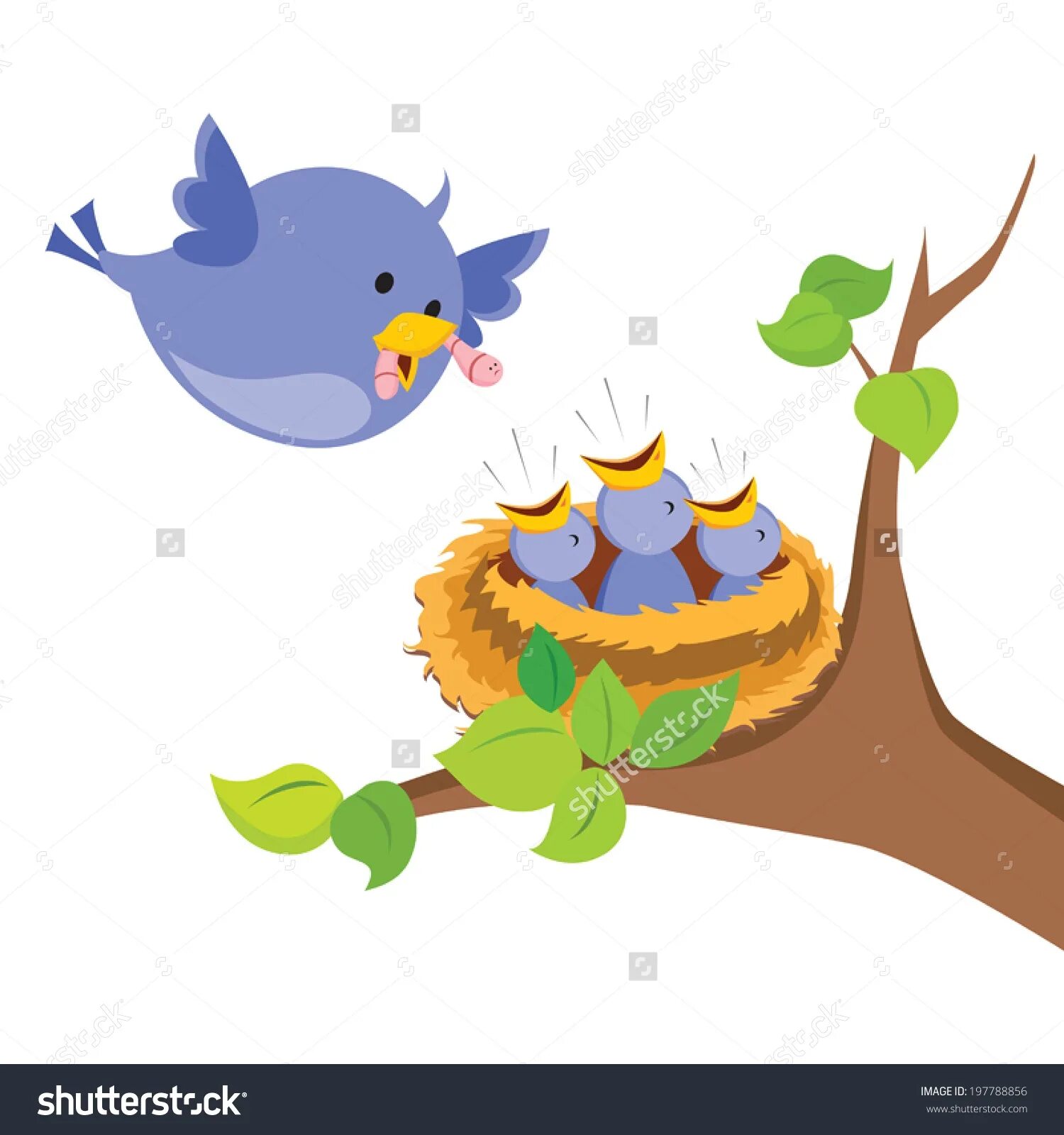 Птенцы в гнезде для детей. Птица с птенцами в гнезде для малышей. Рисование птицы в гнезде. Птичка с птенцами в гнезде рисование для детей.
