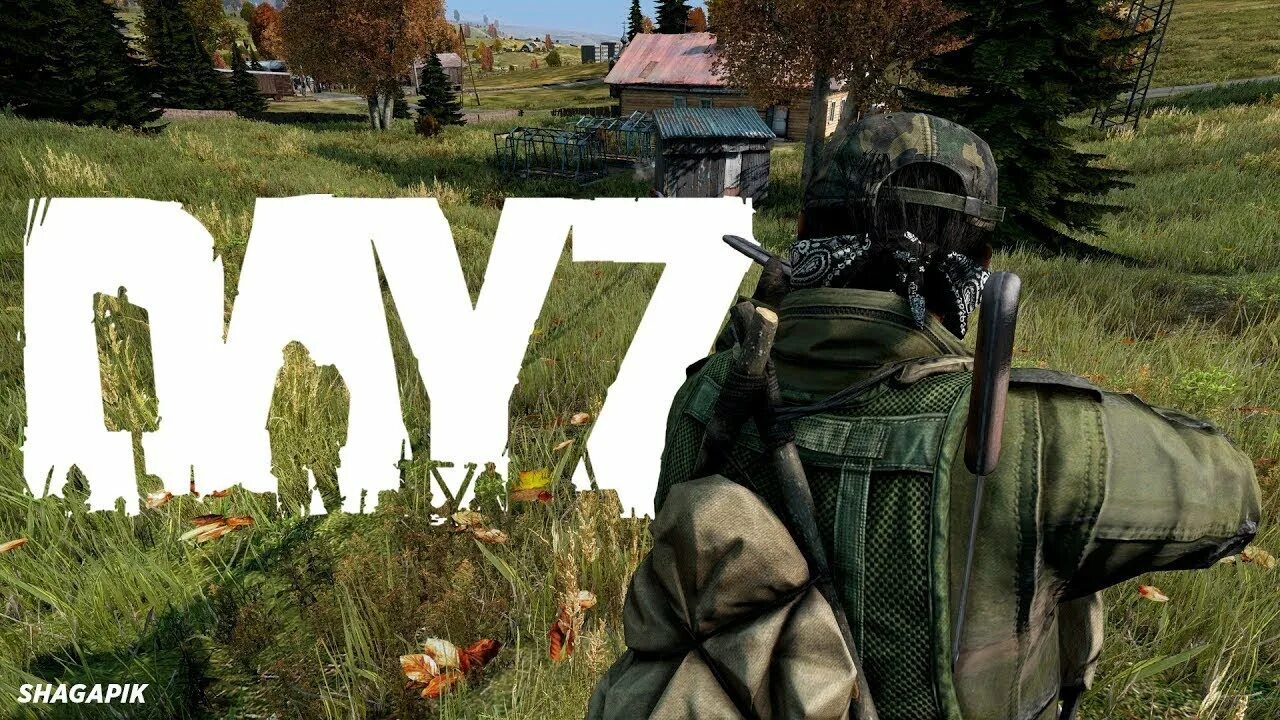 Видео дези. Dayz вечерний стрим. Видео дези. Флаги в дейзи. База dayz sa.