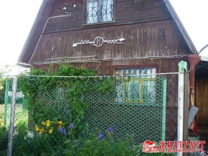 Дача в павловском посаде снт посад. Снт природа. снт в павловском посаде. снт дружба сергиев посад.