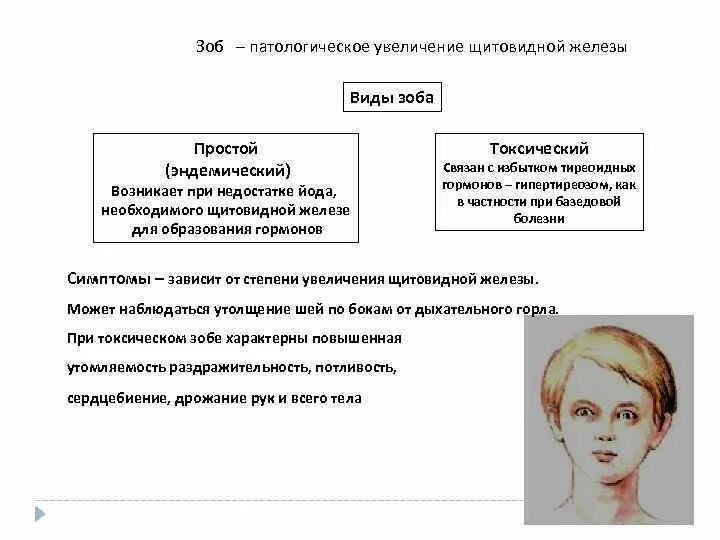 Зоб виды классификация. Виды зоба щитовидной железы. Эндемический зоб классификация.