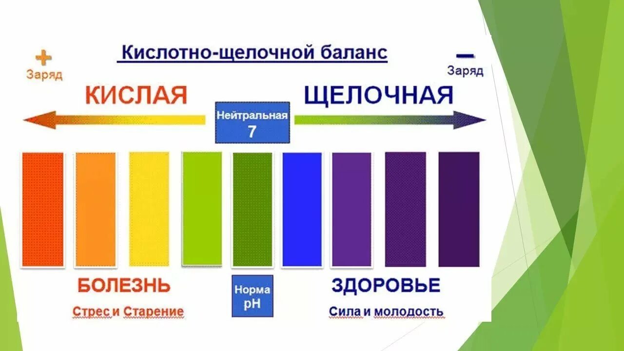 PH В организме человека. PH воды. Шкала PH мочи. Кислотно щелочная шкала.