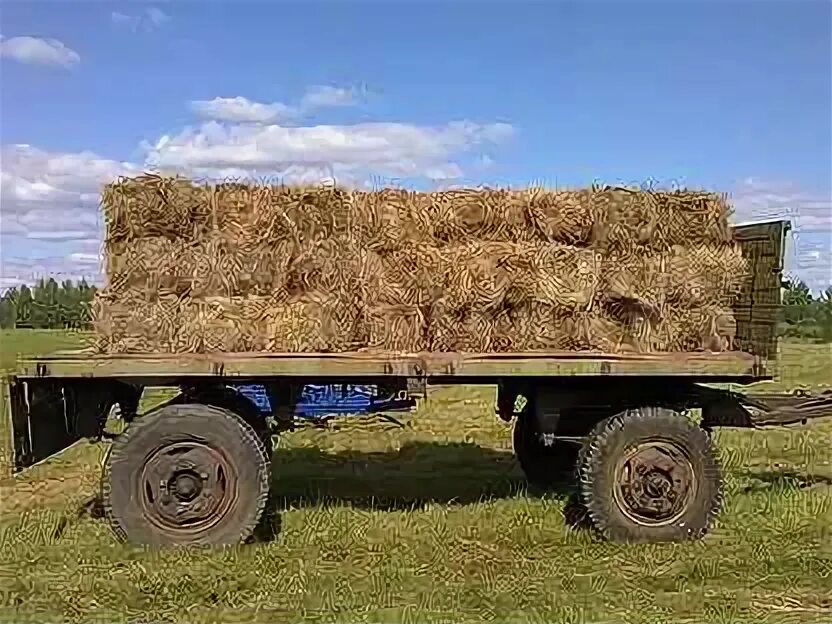 Погрузчик тюков сена прицепной. КАМАЗ С прицепом 500 тюков. Самодельный прицеп для тюков. Телега для перевозки тюков сена. Сено тверская область