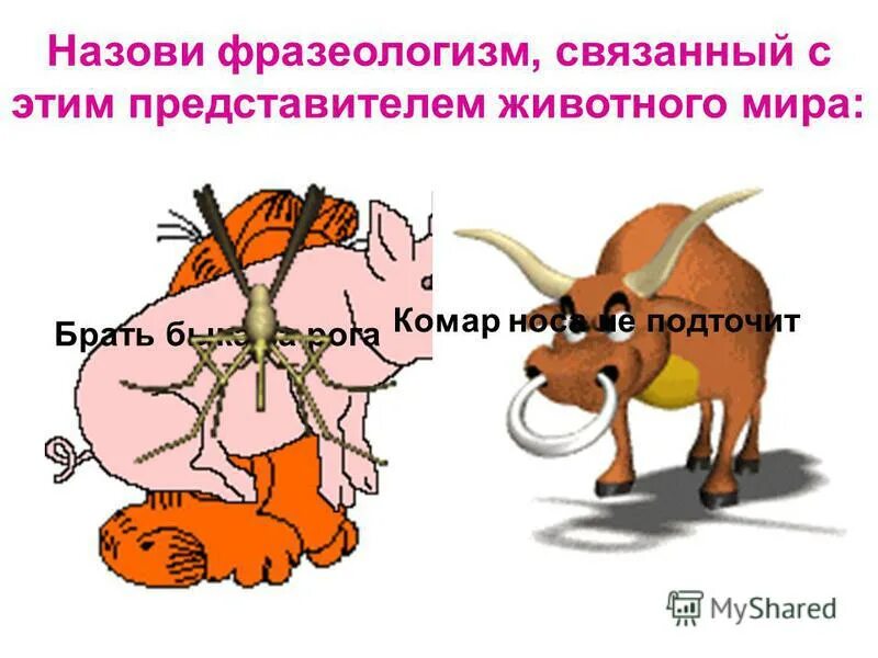 мартышкин труд фразеологизм. не всякое лыко в строку иллюстрация. слов связать не может фразеологизм. заварить кашу антоним фразеологизм. слов связать не может фразеологизм.