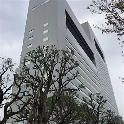 24 builds