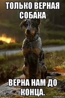 Верную вернусь