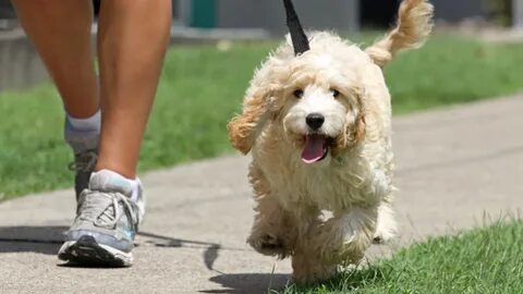 Hot walk