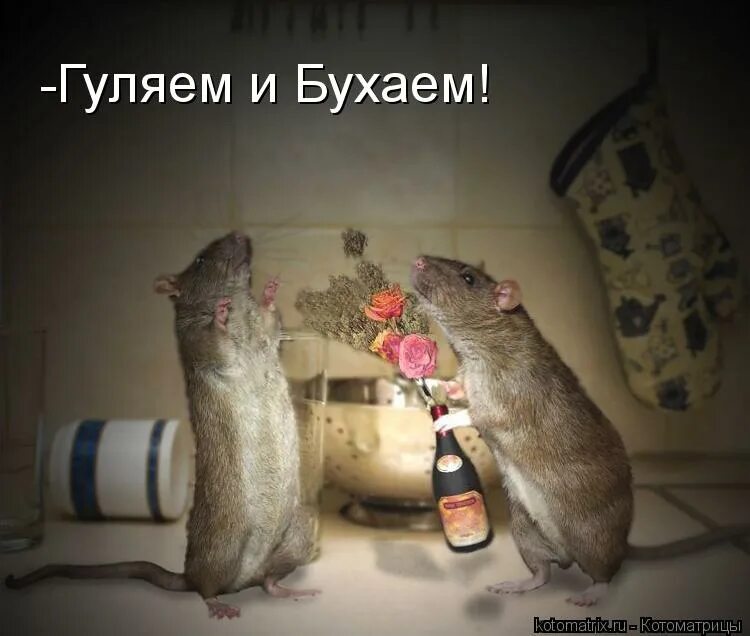 Куда идешь. Кто хочет гулять. Куда идём мы с пятачком. Всё нормально деньги есть. Деньги есть мы идем и гуляем.