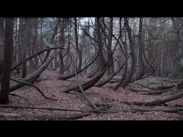 10 аномалий