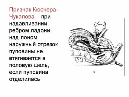 Над лоном