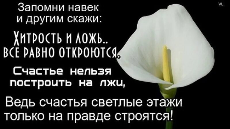 Афоризмы про ложь и обман. Высказывания о лжи в любви. Цитаты про ложь. Высказывания о вранье. Ложь себе любимому.