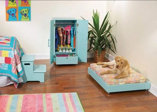Комната для собак. Мебель для домашних животных. Комната для собачки. Комната для кошек и собак. Pets room