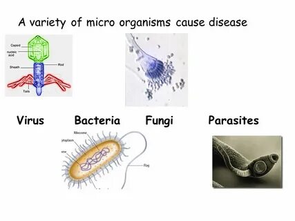 Caused by a virus