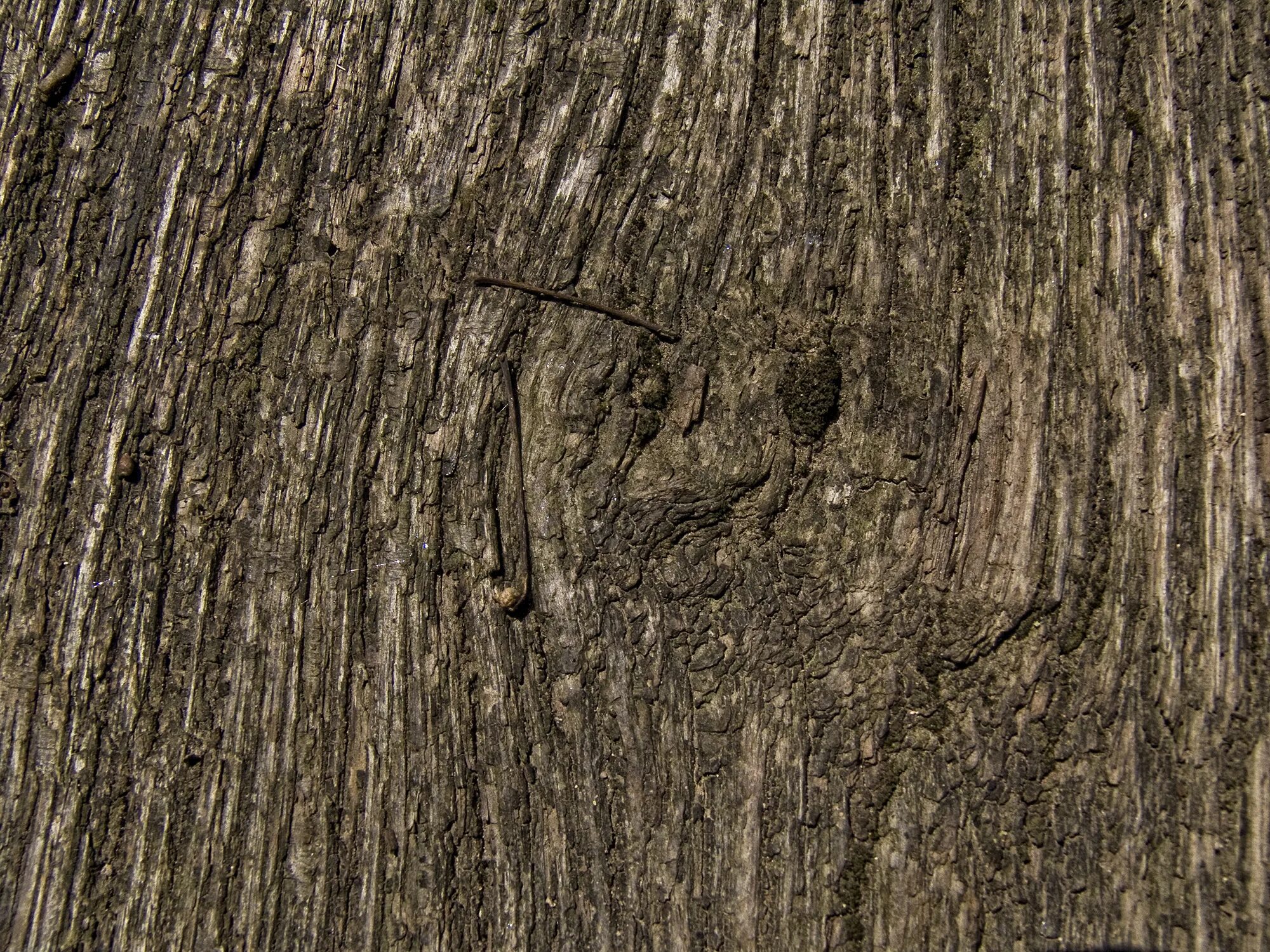 Unity texture