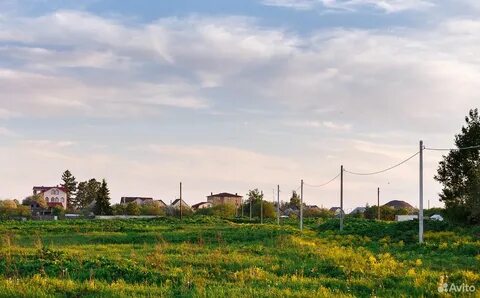 Земля в городе тверь