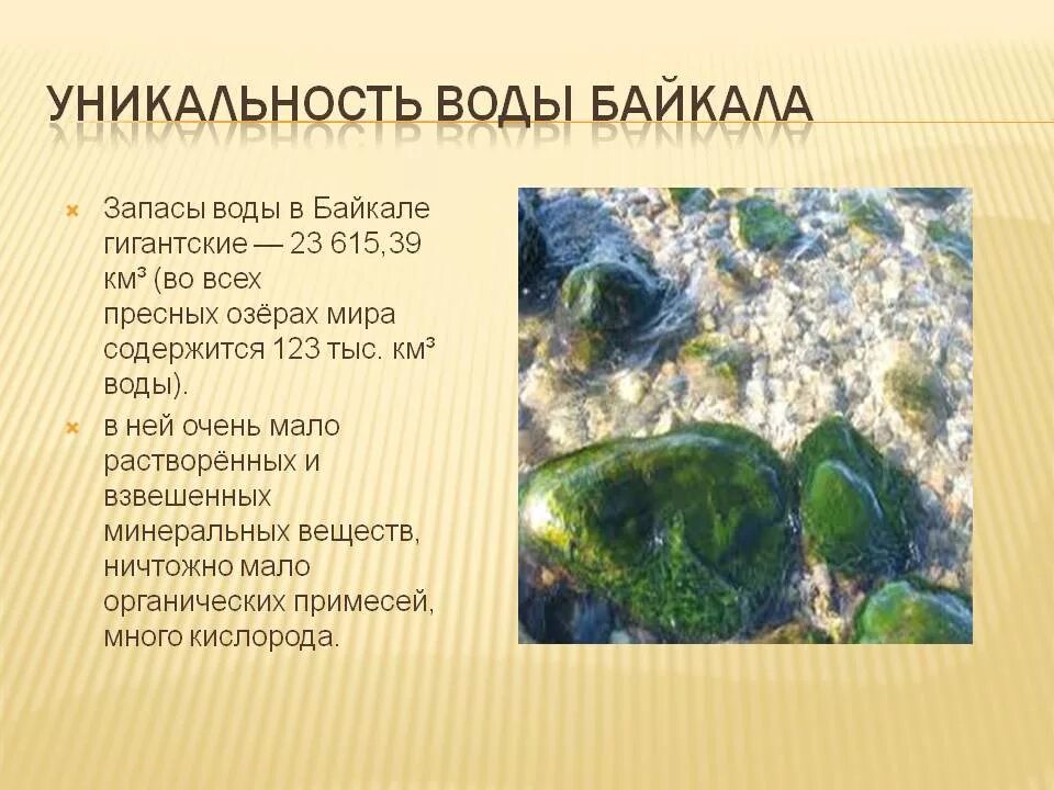 Уникальность Байкала. Вода Байкал. Уникальность озера Байкал. Уникальная вода Байкала.