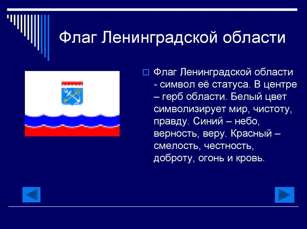 Информация о ленинградской области