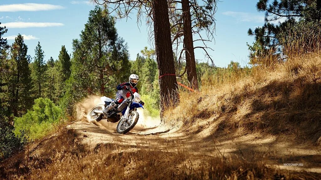 Можно ли на эндуро ездить по дорогам. Ямаха эндуро в лесу WR 250. Покатушки на эндуро 250. Эндуро трасса Тамбов. Мотоцикл эндуро сафари.