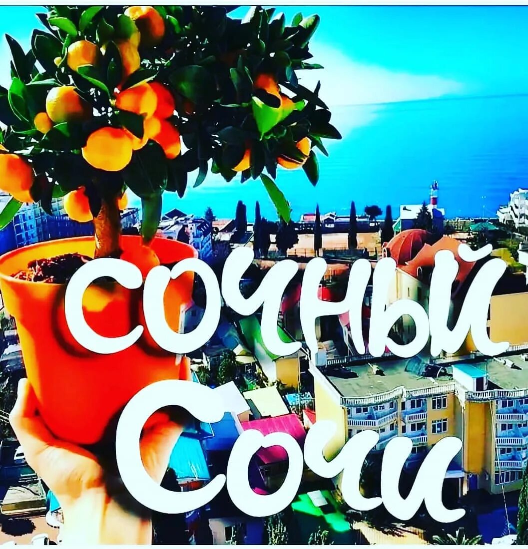 сочи горящее предложение. горящий тур в сочи. тур в сочи. тур в сочи горящие путевки. горящая путевка в сочи.