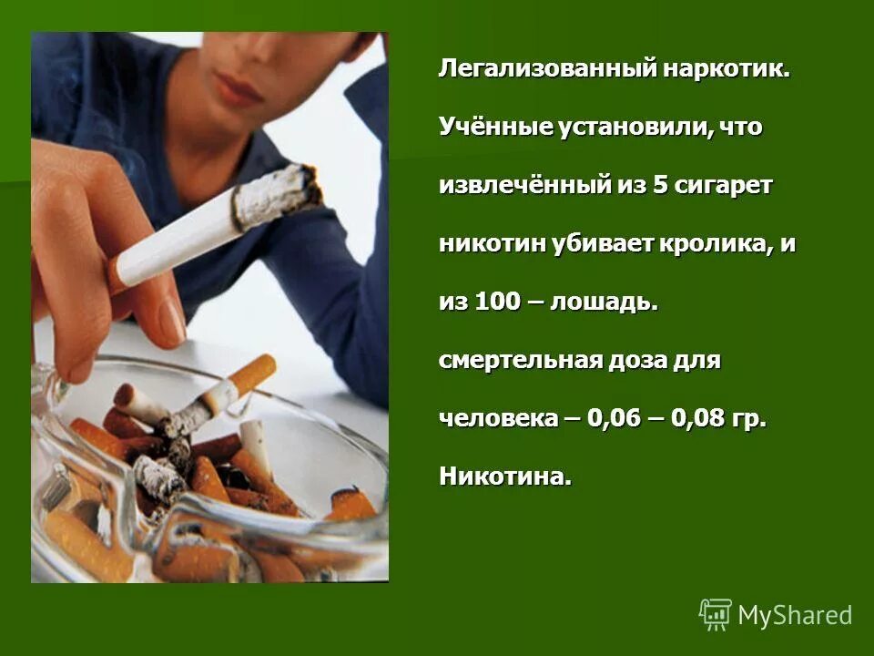 что можно легализовать. формы легализации официальных документов. легализированный бизнес. легализовать. легализовали это что означает.