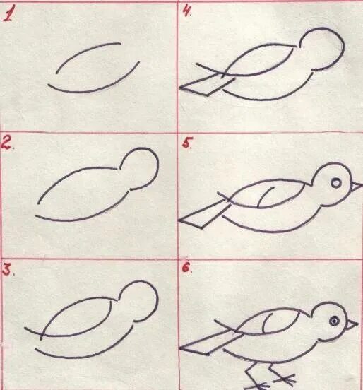 Рисунок птицы 5 класс. Рисуем синичку поэтапно для детей. Последовательность рисования синички для детей. Этапы рисования птицы. Пошаговое рисование птицы.