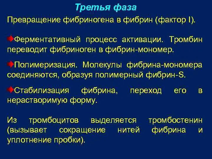 Количество фибрина после пореза. Превращение фибриногена в фибрин. Превращение фибриногена в фибрин- мономер. Тромбин фибриноген фибрин. Синтез фибриногена.