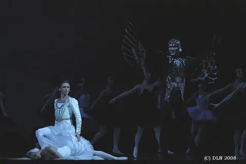 Мариинский театр лебедь отзывы