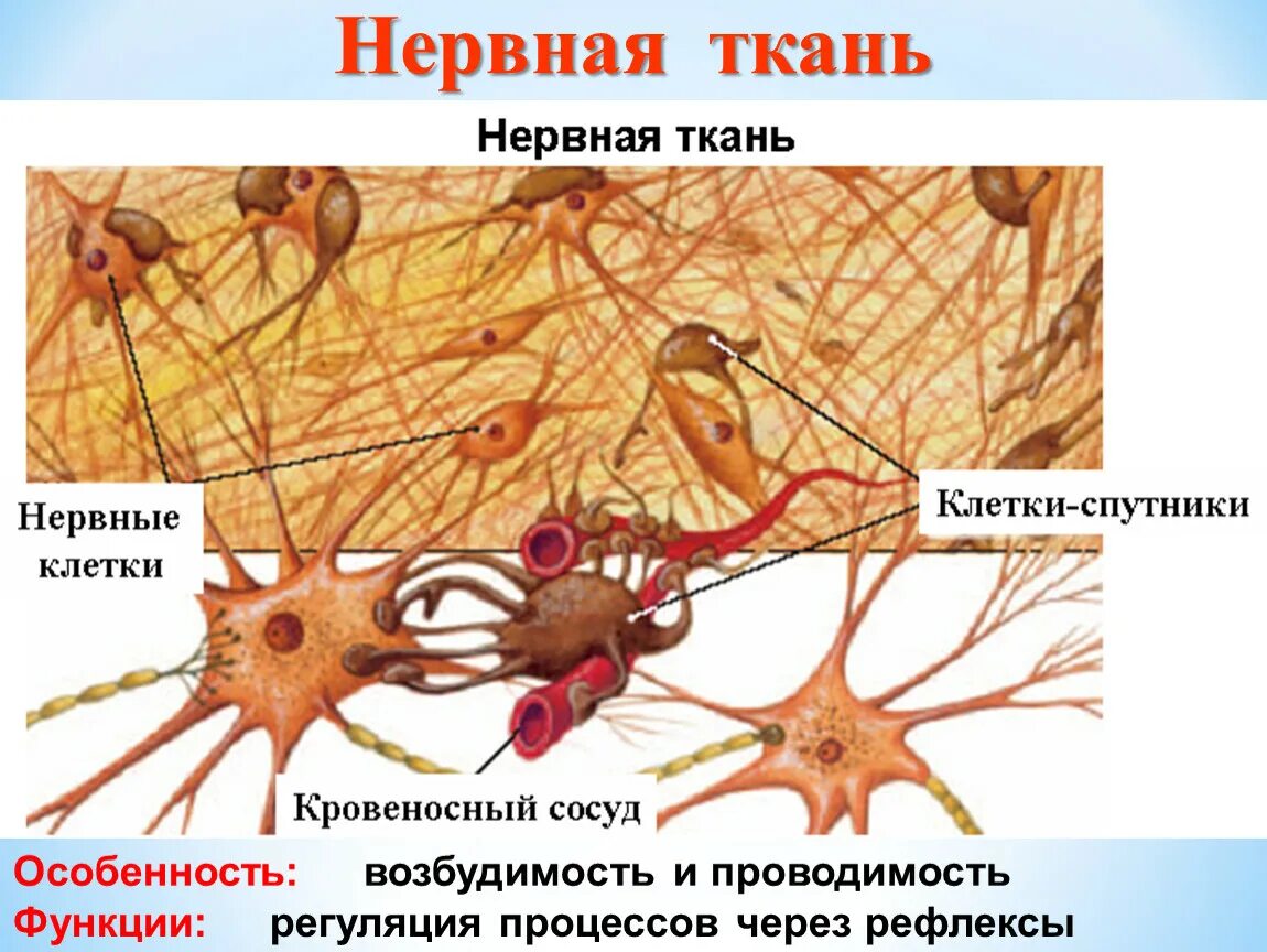 New technique can help understand neurodegenerative diseases