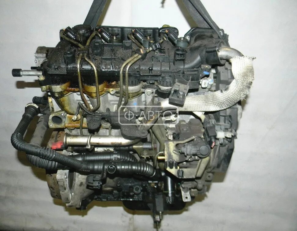 ДВС Форд Фьюжн 1.6. Двигатель Форд Фьюжен 1.6. Двигатель Форд Фьюжн 1.4. Форд Фьюжн 2006 двигатель 1.6. Купить дизельный двигатель 1