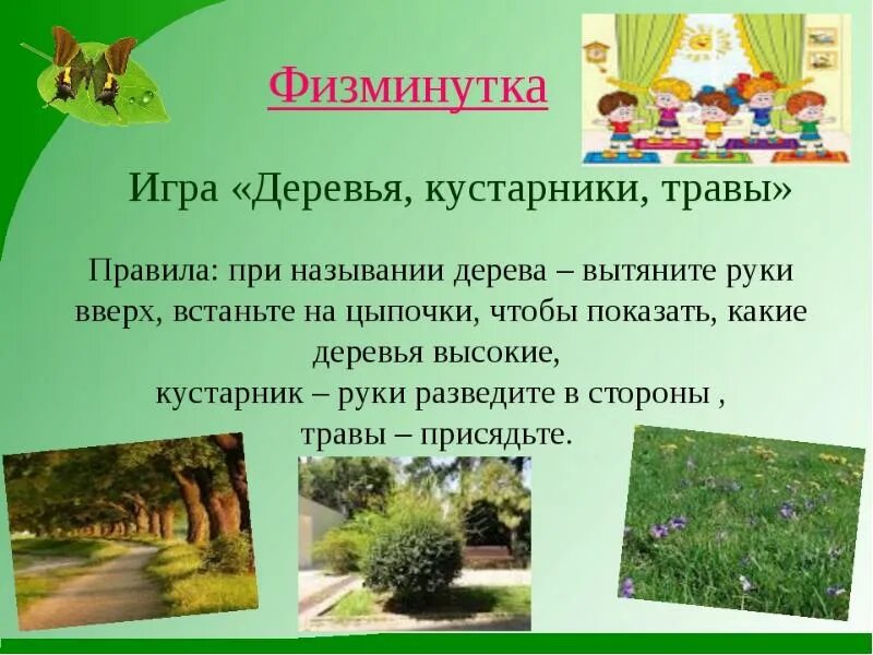 Растения деревья кустарники травы для дошкольников. Растительный мир для дошкольников. Презентация на тему деревья. Кустарники презентация для дошкольников. Мир растений игры