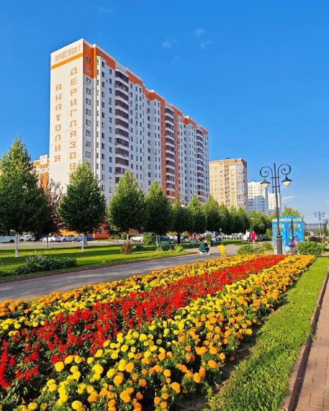 Управляющая северная дериглазова. Микрорайон дериглазова курск. Проспект анатолия дериглазова, 39. Мкр северный. Дериглазова курск домостроителей.