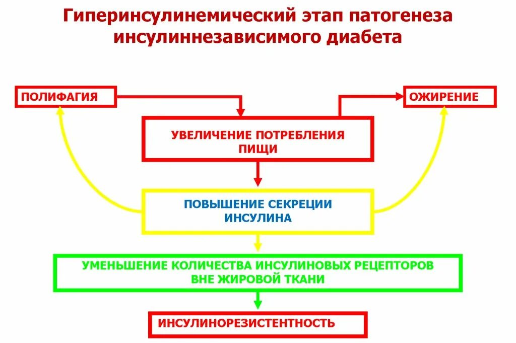 Осложнения инсулиннезависимого сахарного диабета. Инсулинорезистентность механизм развития. Механизм развития инсулинорезистентности патофизиология. Механизм развития инсулинорезистентности при ожирении. Гиперинсулинизм патогенез.