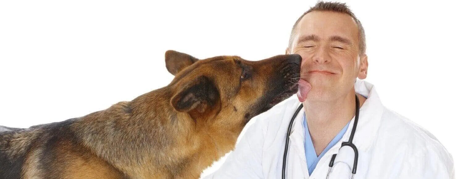 Ветеринар в в часть. Ветеринар. Профессия ветеринарный врач. Профессия ветеринар. Собака врач.