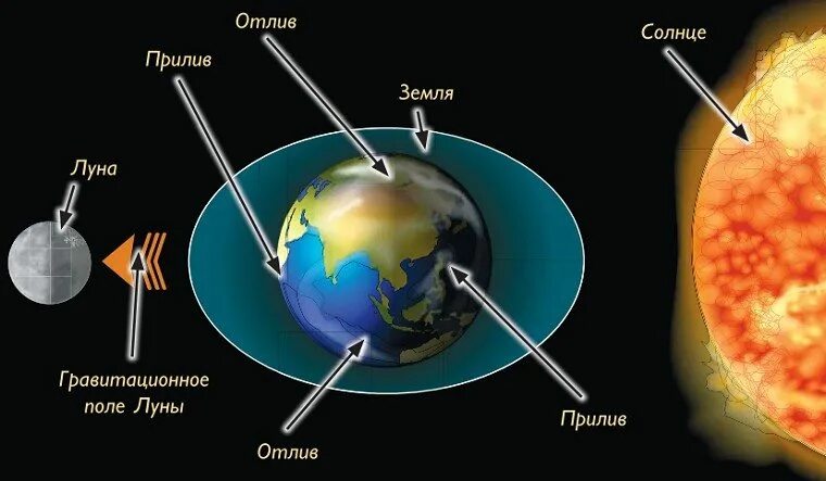 Лунные приливы и отливы на земле. Земля Луна отлив прилив схема. Приливы и отливы влияние Луны. Воздействие Луны и солнца на приливы и отливы. Почему луна притягивает