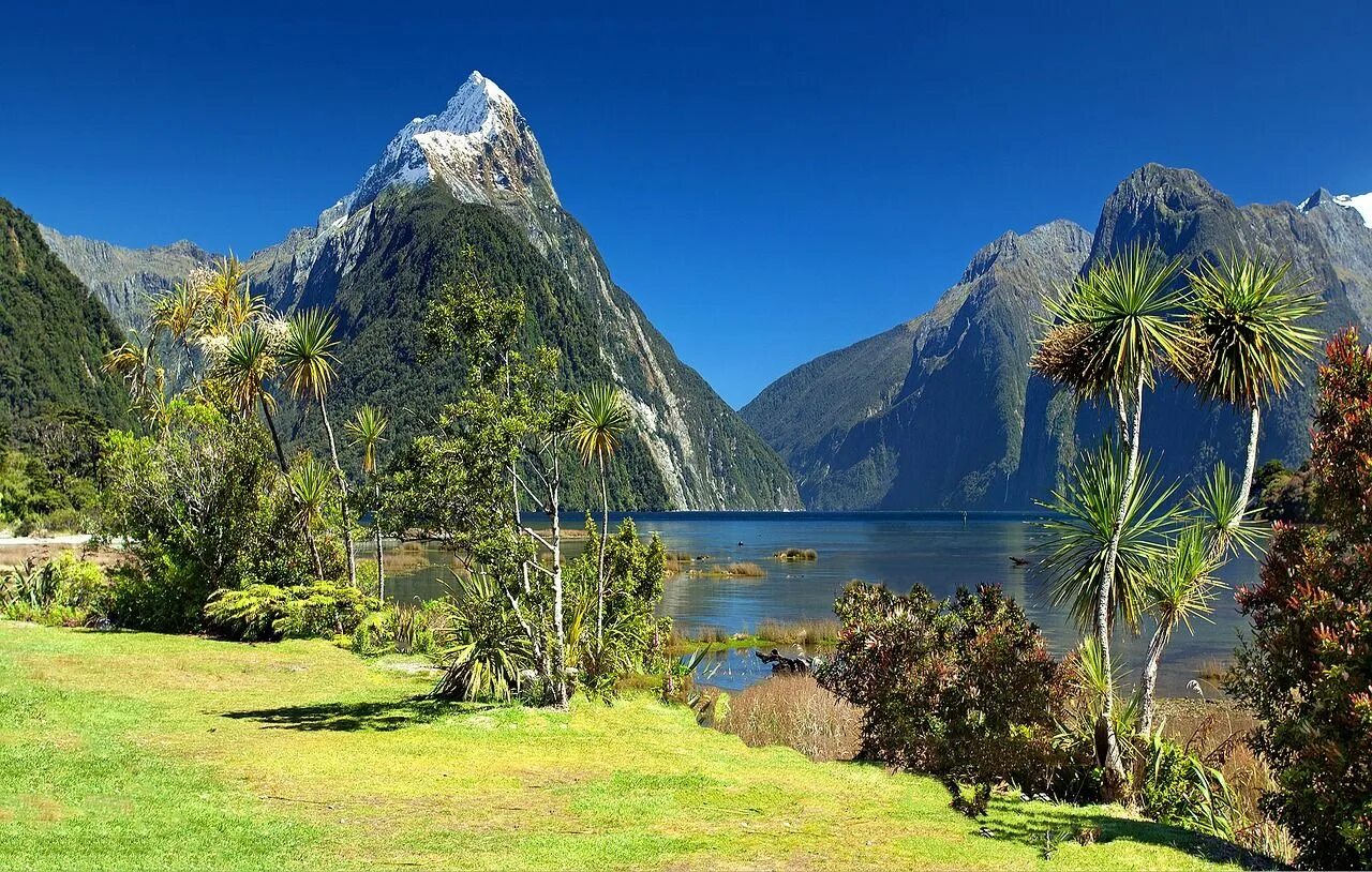 New zealand now. New zealand now. Национальный парк фьордленд. Милфорд саунд новая зеландия. Озеро вакатипу в новой зеландии.