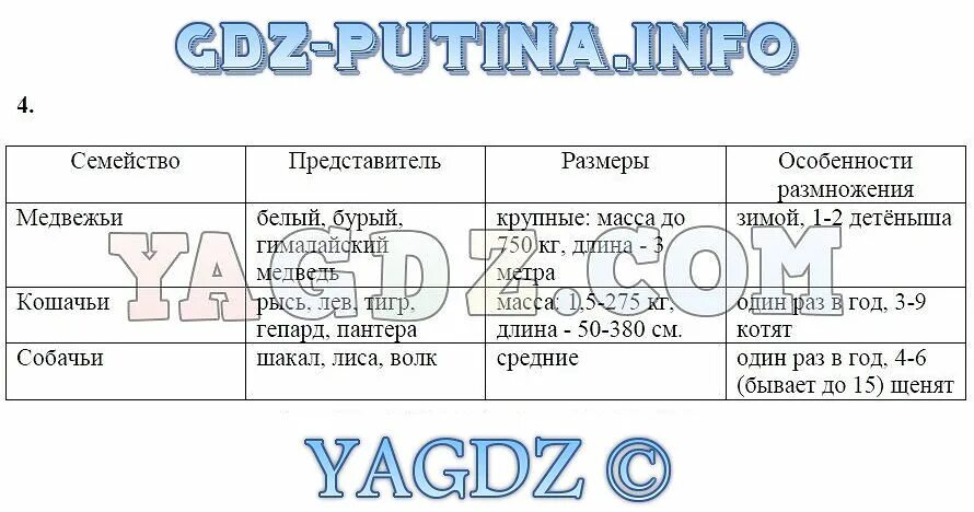 Заполните таблицу представители