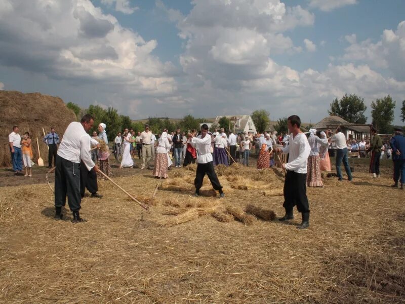 Молотьба снопов. Молотьба хлеба. Обмолот. Обмолот зерна. Молотьба зерна.