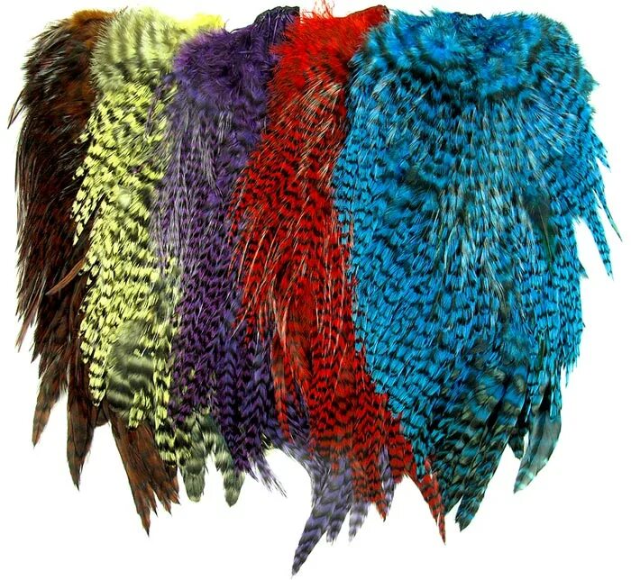 Whiting петушиный скальп american rooster cape bronze black laced white dyed golden olive. Петушиное перо. Перья петуха гризли. Перья петуха гризли. Перо петуха гризли.