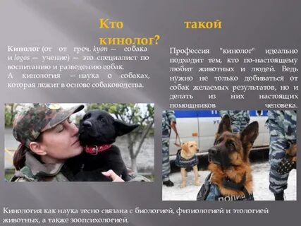 Профессионализмы профессии кинолог