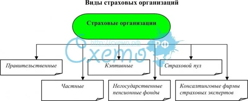 Виды страхования организаций. Виды страховых организаций. типы страховых компаний. виды страховых агентств. виды страховых организаций и их особенности.