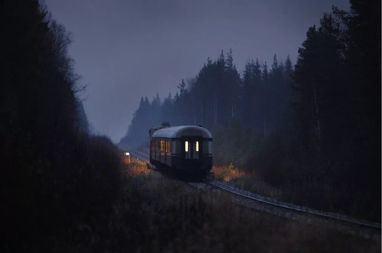 Загадочный поезд. Вагон в лесу. Поезд ночью. Поезд в лесу. Трамвай в тумане.