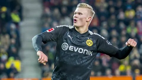 Holland страна производитель