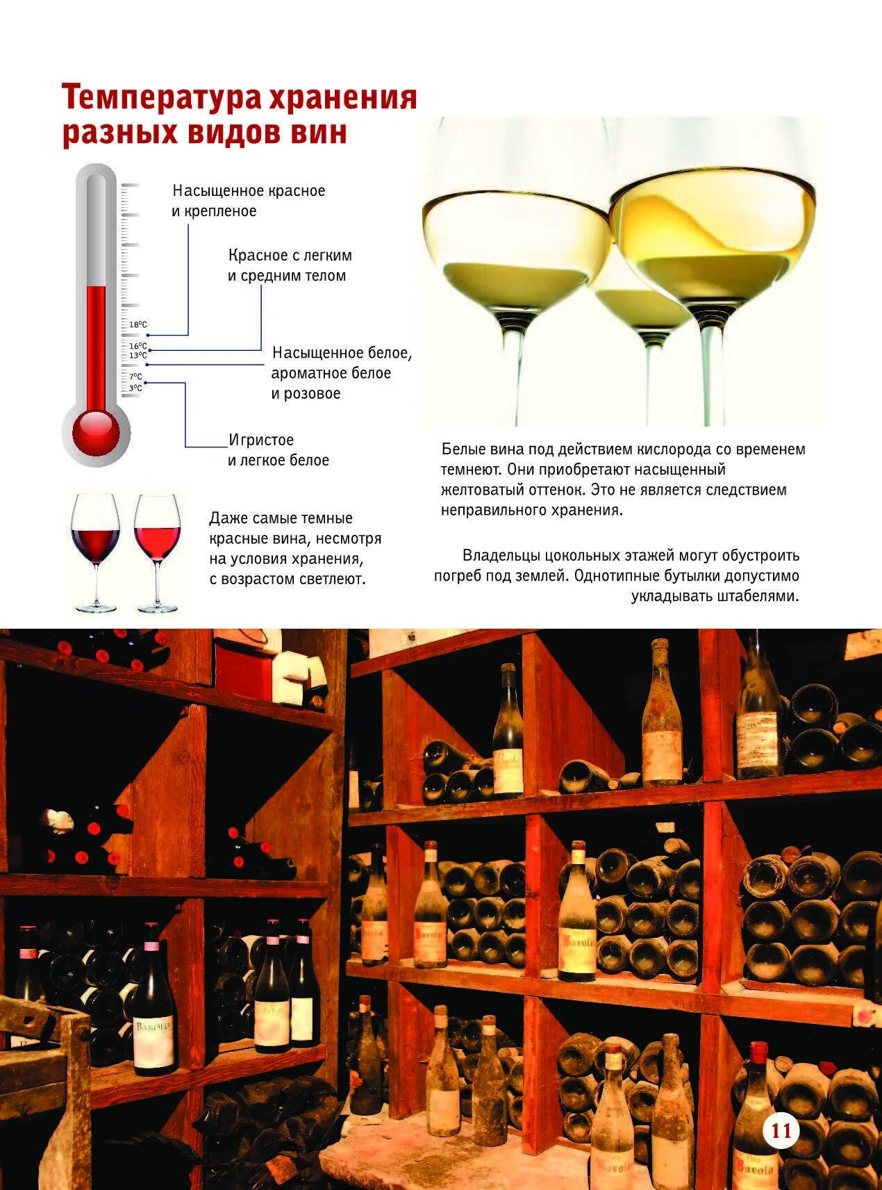Вине температура. Вино. Большой иллюстрированный гид | Шпаковский Марк Максимович. Температура хранения вина. Лучшая температура для хранения вина. Температура хранения вина в бутылках.