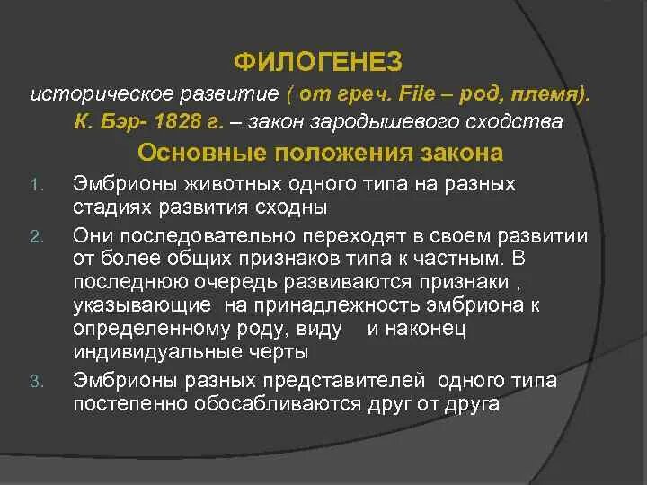 Филогенез историческое развитие. Принципы филогенеза. Закономерности филогенеза. Филогенез это развитие.