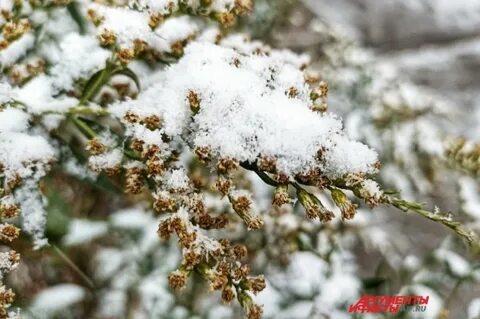 После 11 января