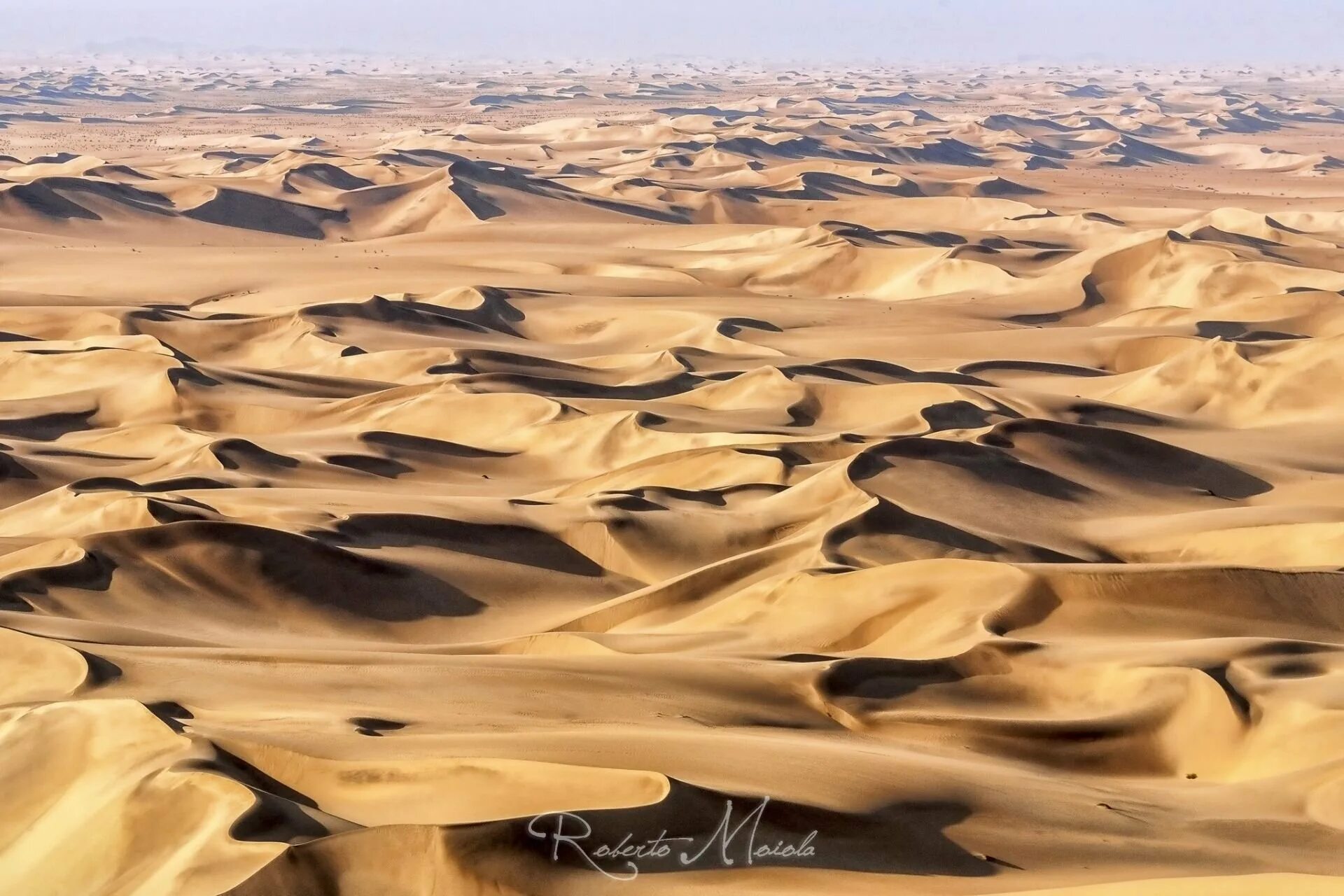 Самая крупная пустыня на земле. Пустыня дюны Оазис. Земля пустыни. Пустынные почвы. Песчаная земля.
