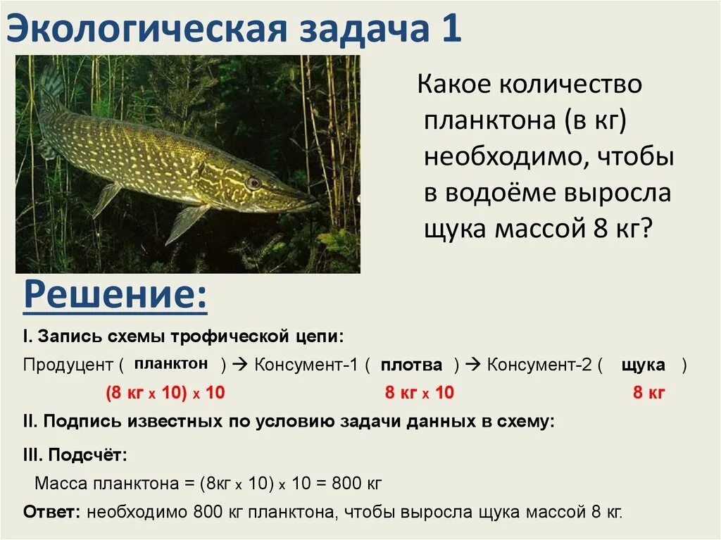 Составить экологическую задачу