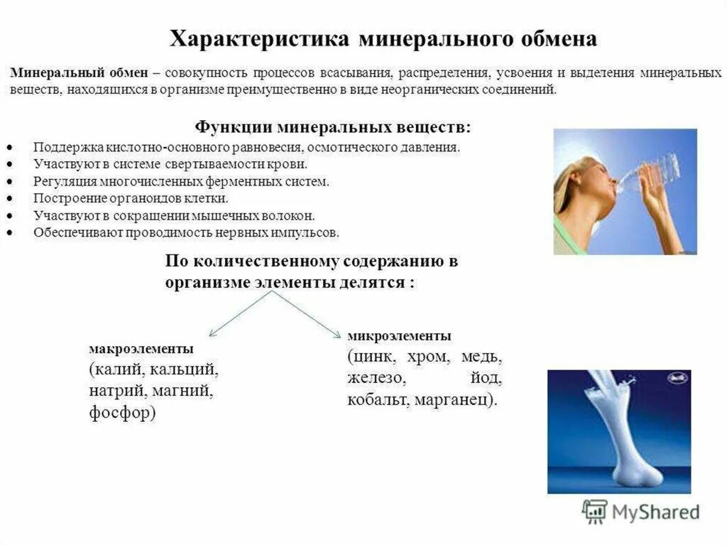 Функции обмена минеральных солей. Функции водно минерального обмена. особенности водно-минерального обмена. минеральный обмен характеристика. минеральный обмен схема.