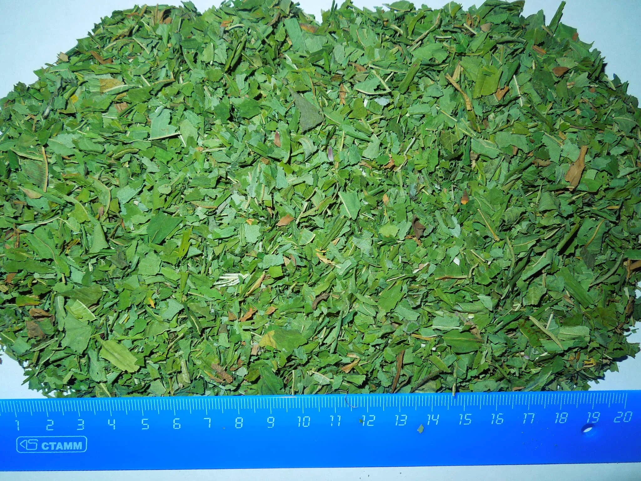 Здравница гордеева травы. Чай с травами башкирии. Травы алтая цикорий корень. Травы уфа адреса. Травы уфа адреса.