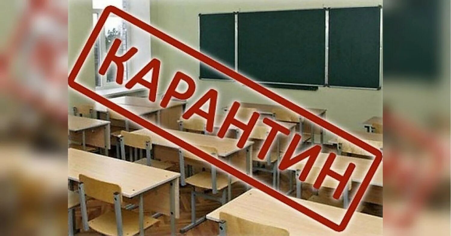 Есть ли карантин